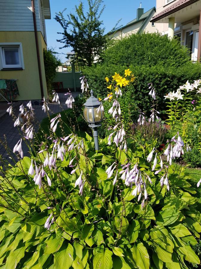Vila Florena Garden 팔랑가 외부 사진