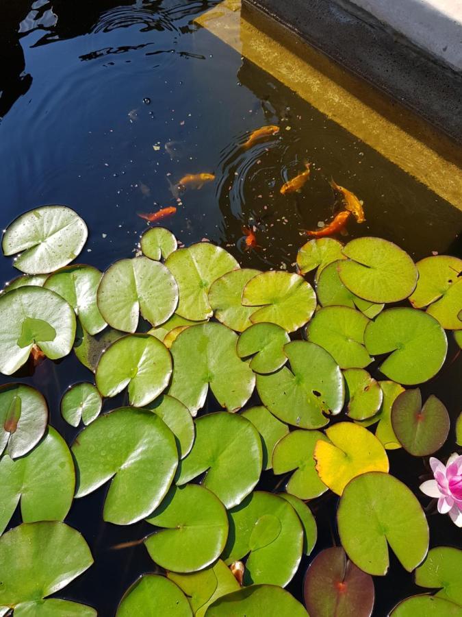 Vila Florena Garden 팔랑가 외부 사진