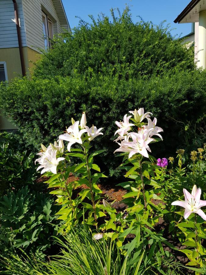 Vila Florena Garden 팔랑가 외부 사진