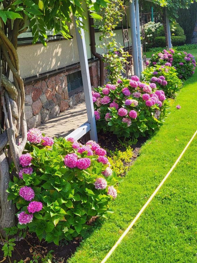 Vila Florena Garden 팔랑가 외부 사진