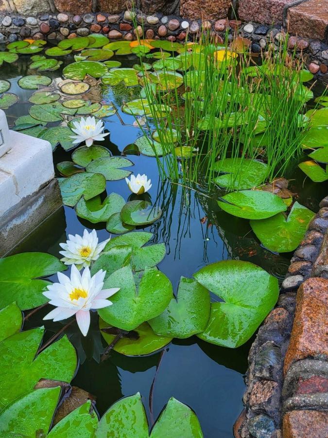 Vila Florena Garden 팔랑가 외부 사진
