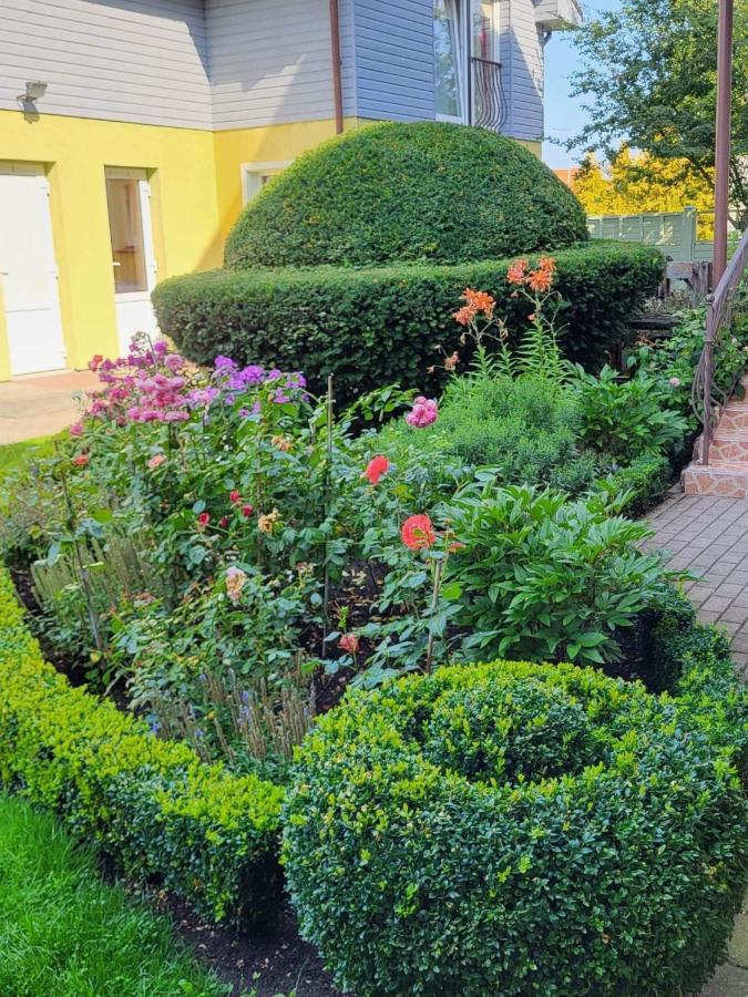 Vila Florena Garden 팔랑가 외부 사진