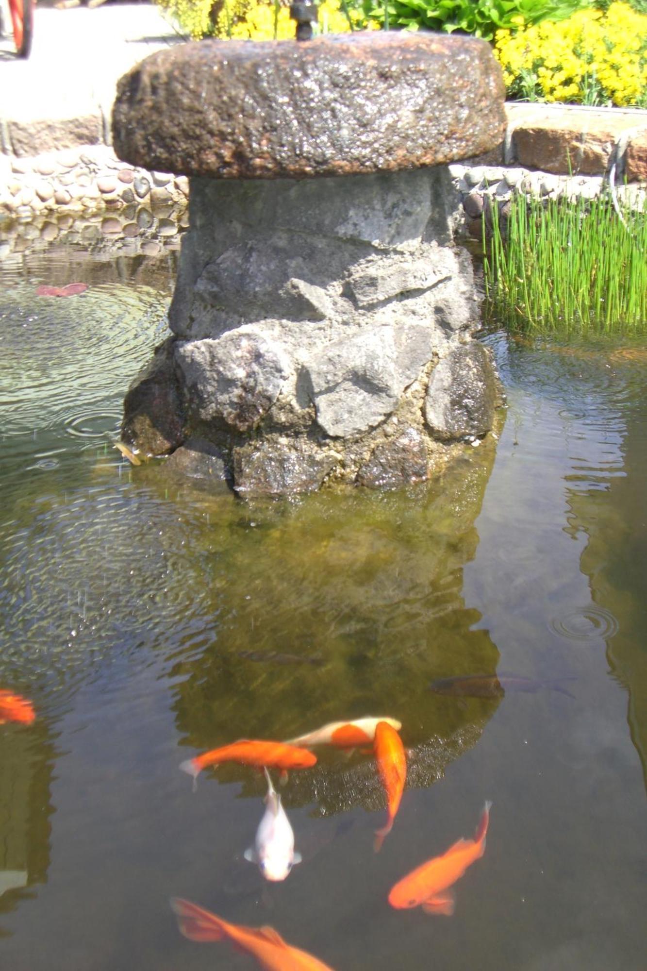 Vila Florena Garden 팔랑가 외부 사진